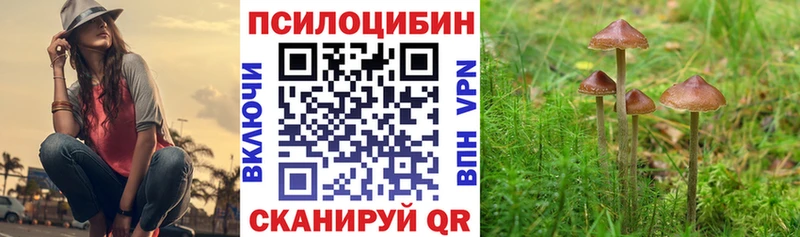 omg   наркошоп  Усолье  Псилоцибиновые грибы Magic Shrooms 